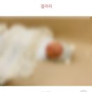 문쓰살롱 | (돌준맘) 돌잔치 초대장 만들기, 살롱드레터 :: 타임라인에 꽂혀 만들게 된 살롱드레터