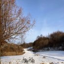 모모의 숲 이미지