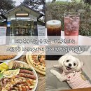 팔공산로 | 대구 동구 팔공산 맛집 애견동반 가능 스윗팔공 브런치 카페 프라이빗 방갈로 솔직후기