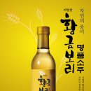 새순영농조합법인 Daum카페
