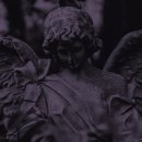 참누렁소 이미지