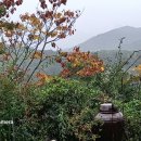 깊은산속민박 이미지