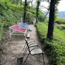 목인박물관 목석원 이미지