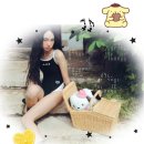 (주)수퍼보드테크놀러지 | 멋있는데 귀여운..! 아레나 산리오 수영복 후기🍮 (사이즈, 착용감, 수모 | 아레나 싱글 수퍼플라이백🖤)