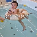 물노리베이비 동탄그란바이스타점 내돈내산 후기