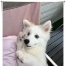 아이조아 요양보호소 서울점 이미지