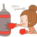 모던복싱클럽 이미지