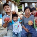 당산마을 이미지