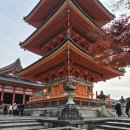 숲으로 가는 길 | 추천 2탄 | 투어비스 라쿠투어 청수사 산넨자카 니넨자카 아라시야마 대나무숲 가는길 후기 꿀팁 내돈내산