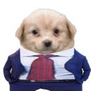 천병약수터 | 각오해라.