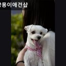 멍이몽이