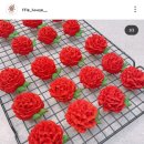 플하우스 이미지