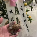 백운현대점 | 현시점 인천 스페인 레스토랑 끝판왕 백운역 맛집 까사지안나 후기