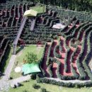 골드환경 이미지