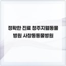 청주지웰동물병원 | 정확한 진료 청주지웰동물병원 사창동동물병원