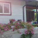 대숲민박 이미지