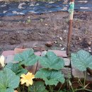 새 달성약국 이미지