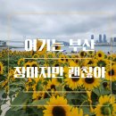 아포가토디젤라또 이미지