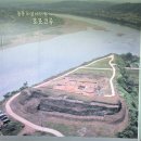 백일홍명품길 | 금년 장남 통일바라기축제 근황은? 서울근교 가족과 여행 유적지 곧 만개합니다 당일치기 가볼만한곳 후기