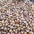 (주)알로젠 이미지