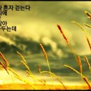 불어라 바람아 F Whistle. 이미지