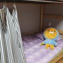 제주미소