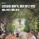 짱구가짱 | 발리 짱구 뷰맛집, 힙한 감성 페니레인에서 먹은 칼라마리랑 슈니첼 후기