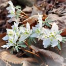 농업회사법인 꽃과사람주식회사 | [공지] 농업법인으로 관광농원 개발시 최대의 수익을 창출할 수 있는 핵심 팁