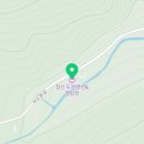 정선 도원펜션&캠핑장 | 개별 불멍, 바비큐까지! 정선 도원펜션&amp;캠핑장 후기