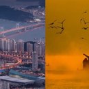 대영오락실 이미지