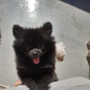 태우하우스 이미지