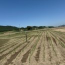 대광산업 이미지