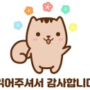 대성컴퓨터세탁소 이미지