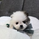 (주)아이토이 이미지