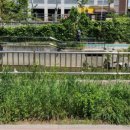 부동산중개법인한성 이미지