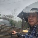 애란농장 이미지