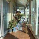 마르자하우스 이미지