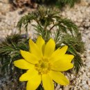 강변로5(서) 이미지