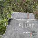 상천리-1 | 가평 카페 플로레｜북한강 뷰 화덕피자 맛집·애견동반 가능한 가평 유명 카페 솔직 후기