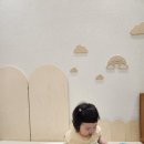 퍼스동물병원 | 팸퍼스 기저귀 내돈내산 7개월 사용 후기