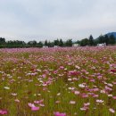 체육공원(수세식) 이미지