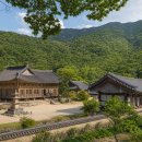 속리산동행 | [충북 보은 여름여행], "속리산에서 즐기는 여름 산캉스"