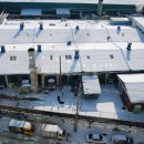 벚꽃로12길 이미지