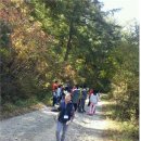 사재산마을 이미지