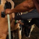 경기도미술관 이미지