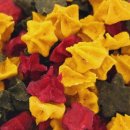 멍멍대학 이미지