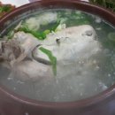 다슬기삼계탕 이미지