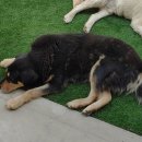 물소리길가 이미지