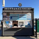 솔향기 쉼터 | [정동심곡 바다부채길] 강풍주의! 핫팩도 소용없던 강원도 여행 필수코스｜아이와 겨울 방문 후기