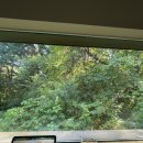 [양평여행]근교여행 고요한 숙소 아틴마루(Summer, 예약, 금액), 양수리 송어횟집, 문오리 오리로스